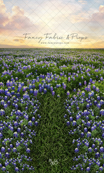 Blue Bonnet Sunrise - With Sweep Option