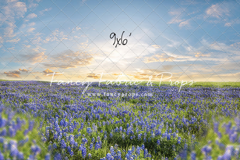 Blue Bonnet Afternoon