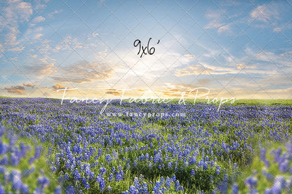 Blue Bonnet Afternoon