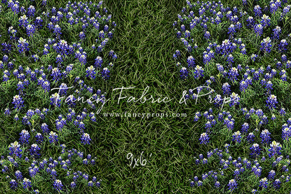 Bluebonnet Grass Floor