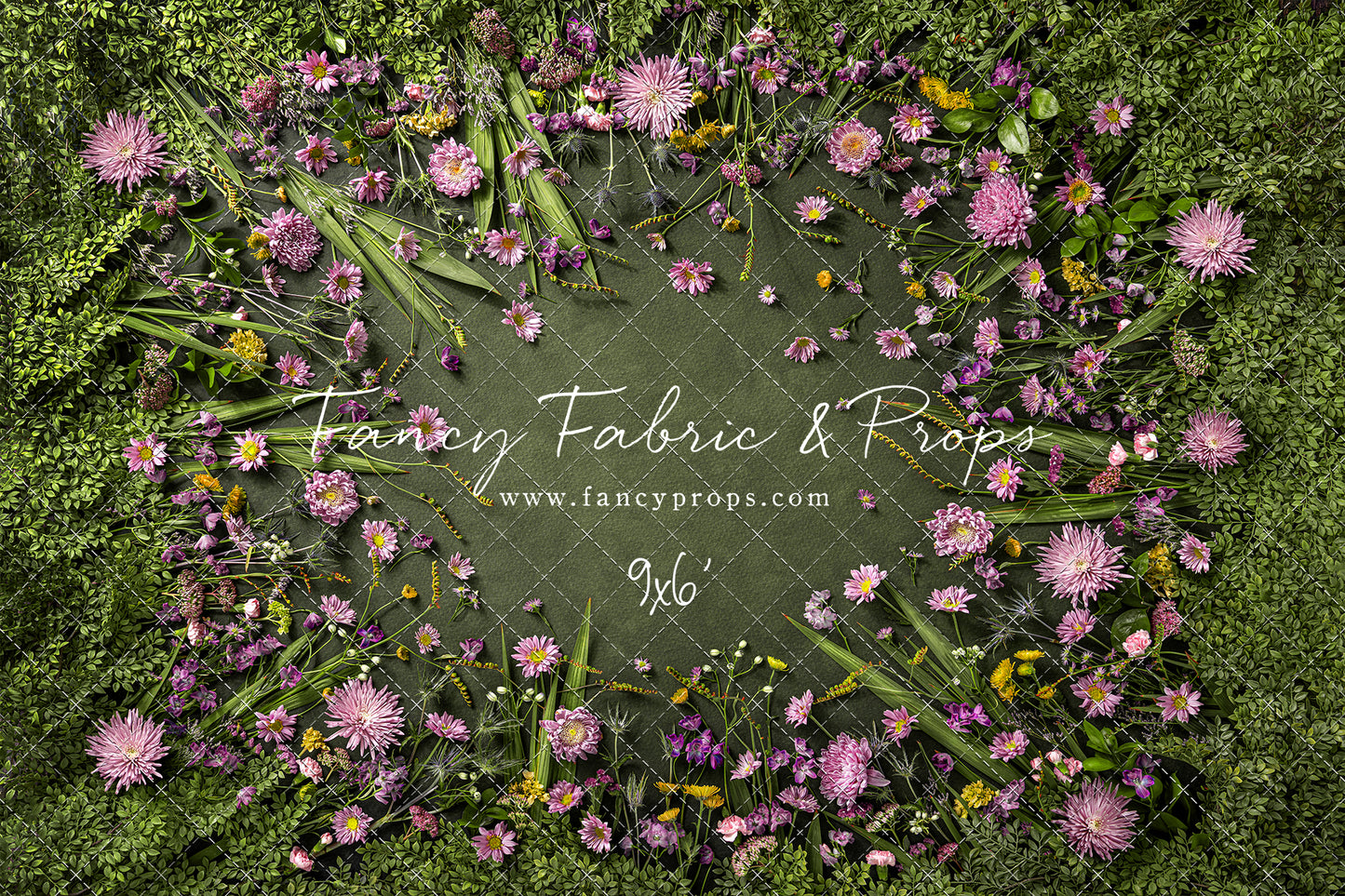 Chrysanthemum Blooms