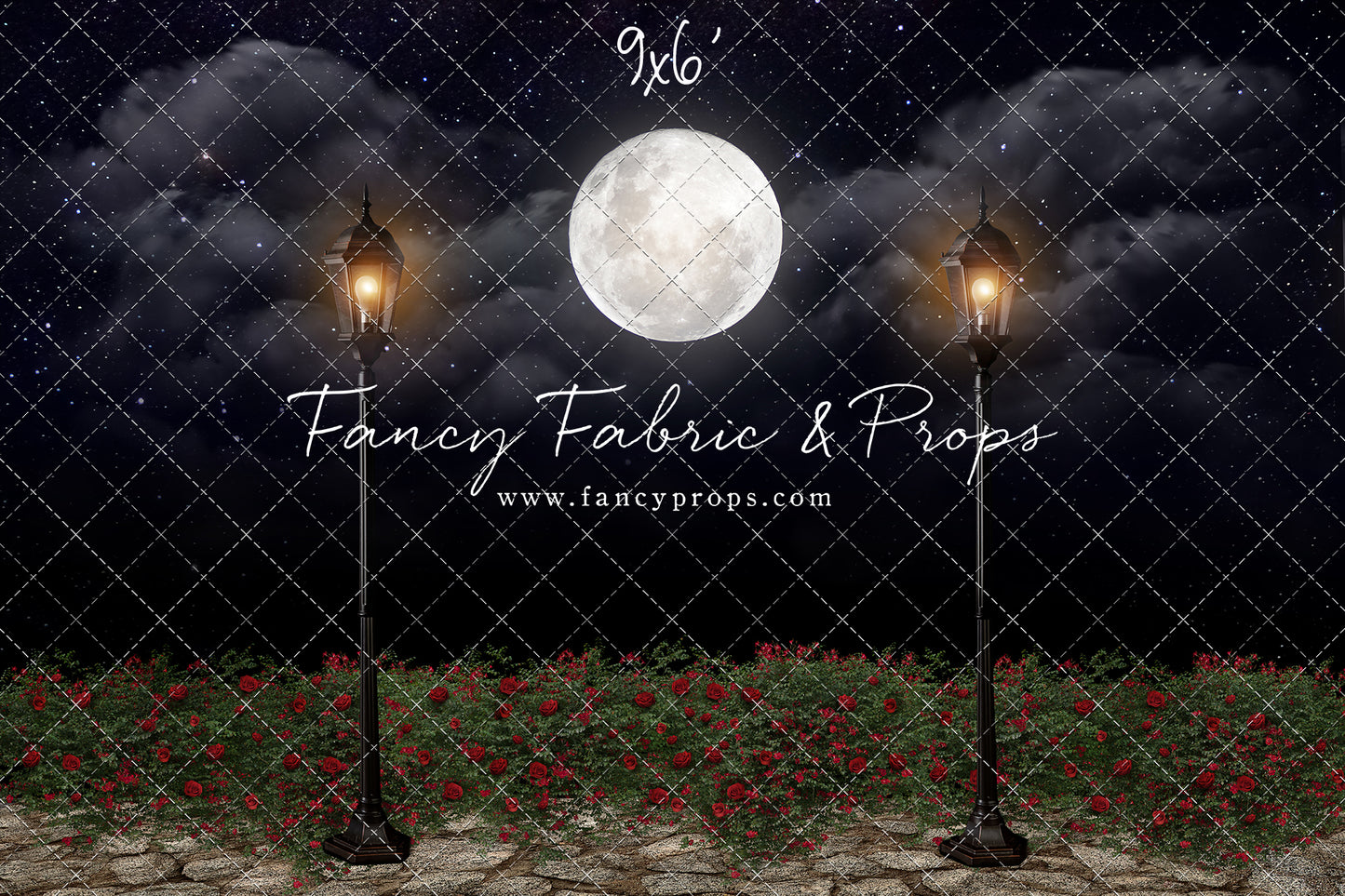 Romantic Moonlit Stroll