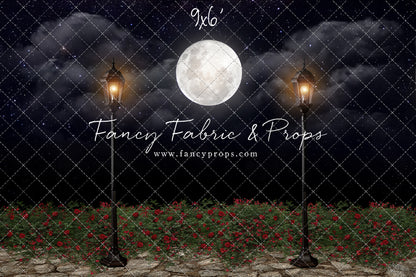 Romantic Moonlit Stroll