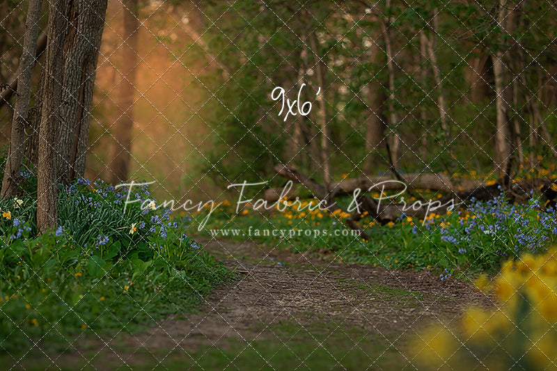 Spring Bluebell Path