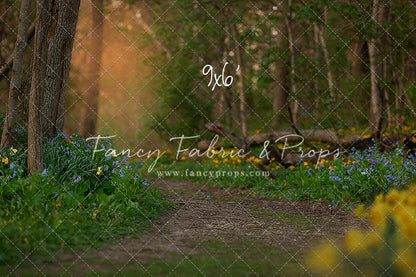 Spring Bluebell Path