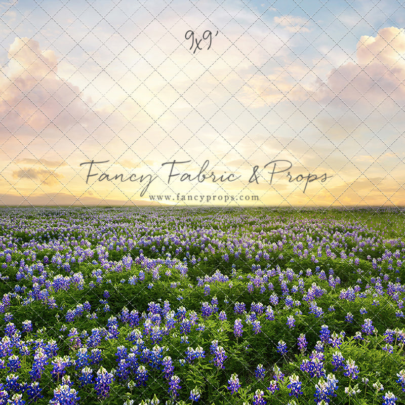Blue Bonnet Sunrise - With Sweep Option