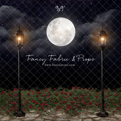 Romantic Moonlit Stroll