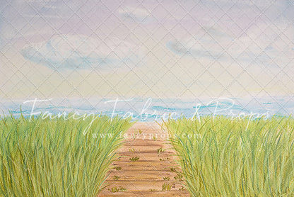 Beachfront Boardwalk