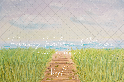 Beachfront Boardwalk