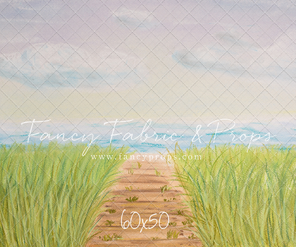 Beachfront Boardwalk