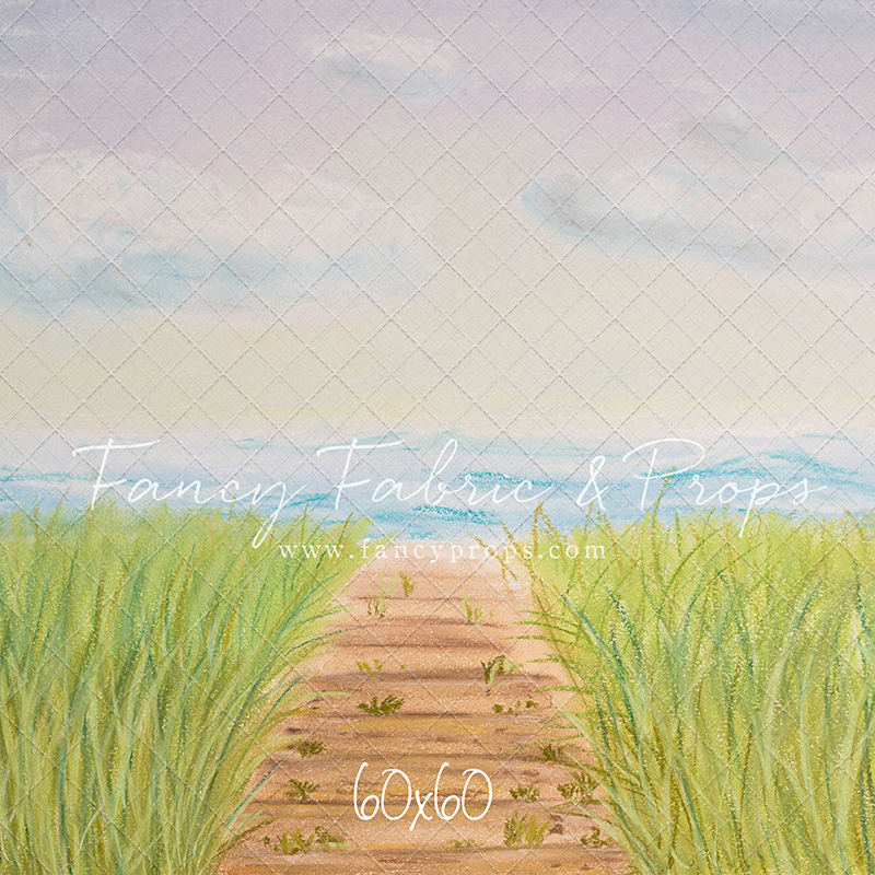 Beachfront Boardwalk