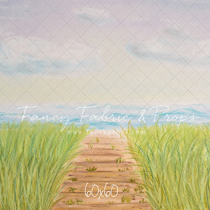 Beachfront Boardwalk