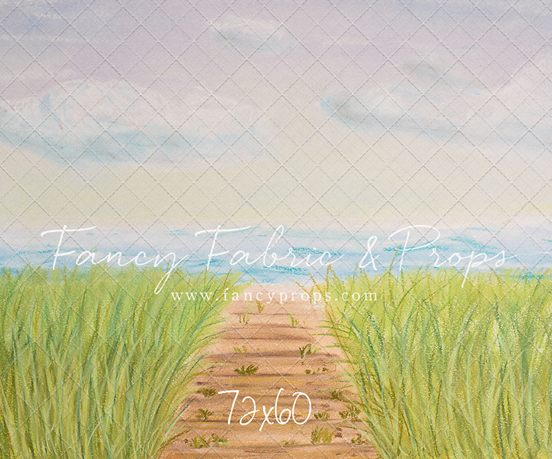 Beachfront Boardwalk