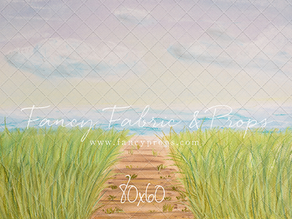 Beachfront Boardwalk