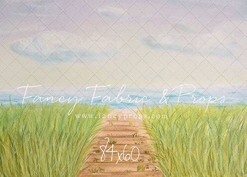 Beachfront Boardwalk