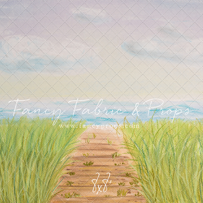 Beachfront Boardwalk