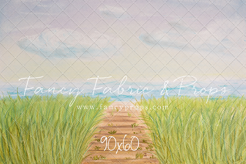 Beachfront Boardwalk