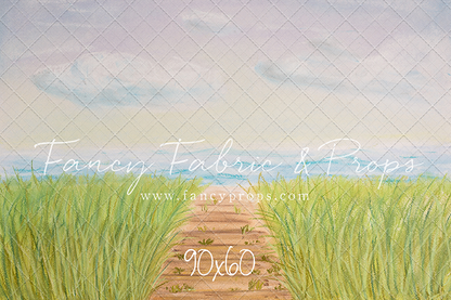 Beachfront Boardwalk