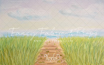 Beachfront Boardwalk