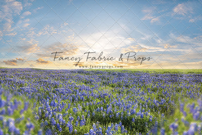 Blue Bonnet Afternoon