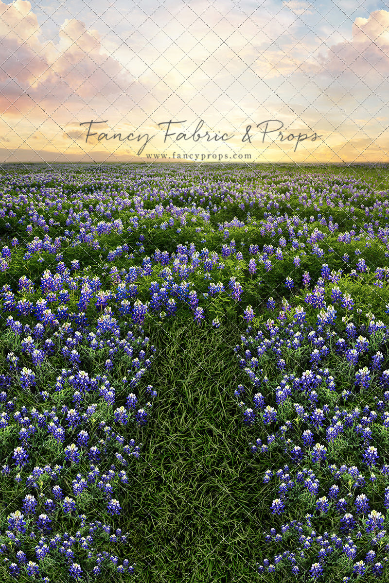 Blue Bonnet Sunrise - With Sweep Option
