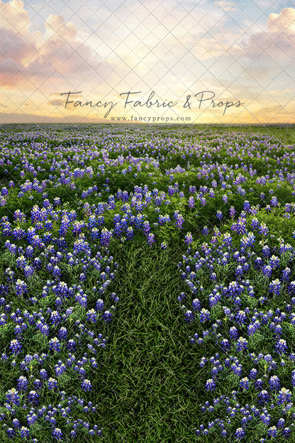 Blue Bonnet Sunrise - With Sweep Option