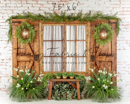 Botanical Fern Window