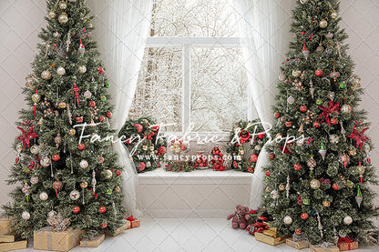 Christmas Window