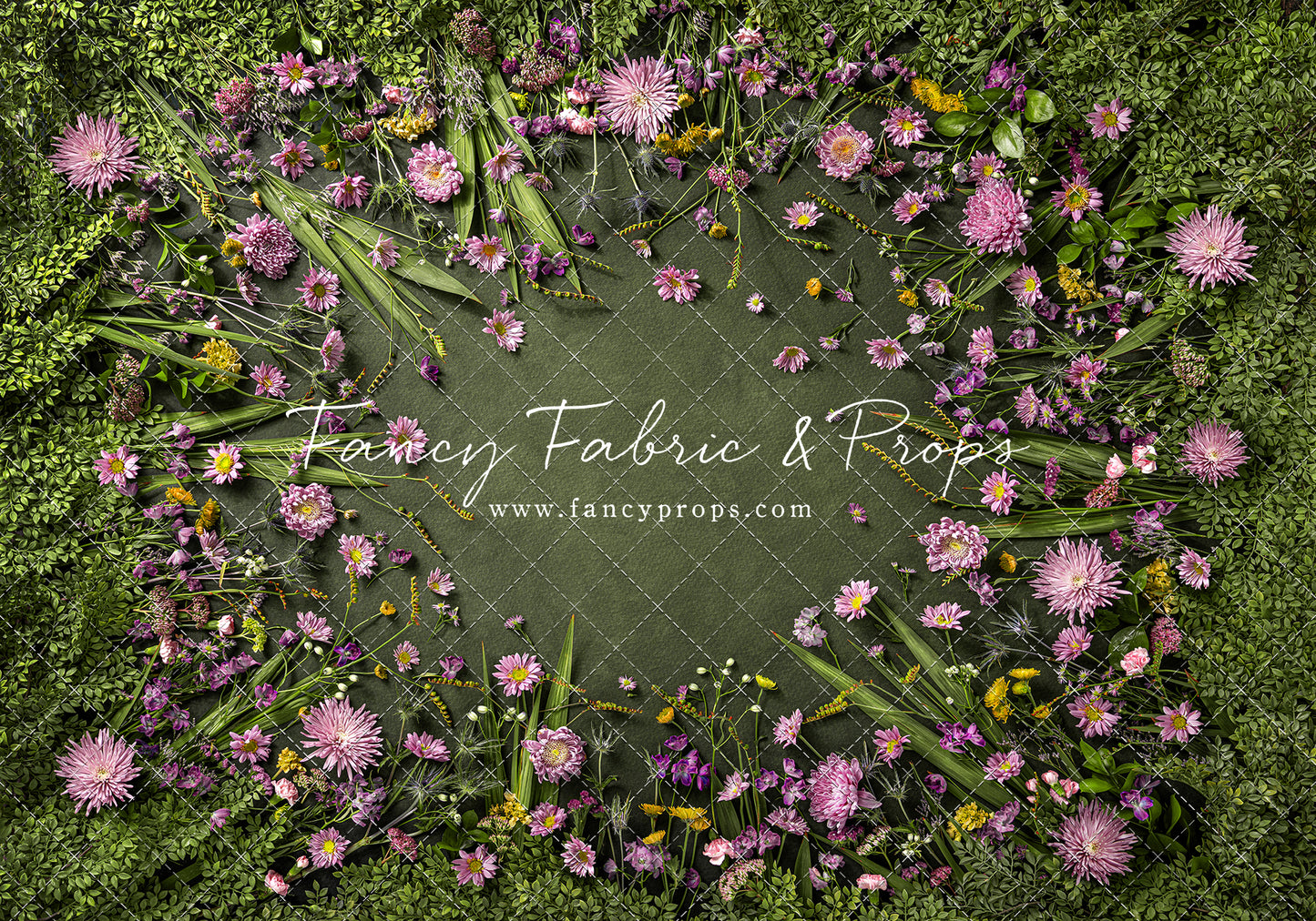 Chrysanthemum Blooms