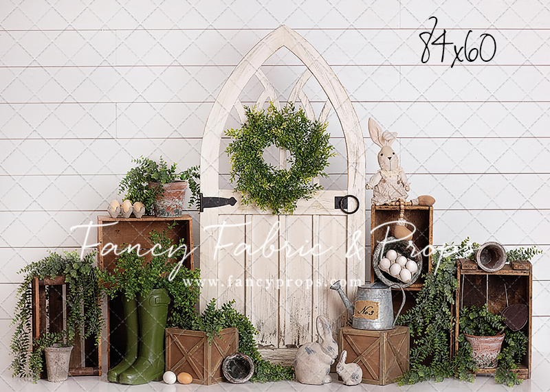 Daytime Stroll Down The Bunny Trail