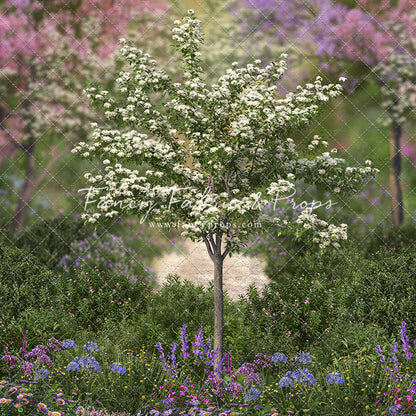 Dreamy Spring Garden