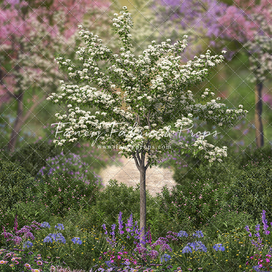 Dreamy Spring Garden
