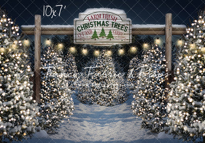 Evening Snowy Tree Farm Entrance