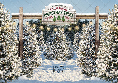 Winter Tree Farm Day Room