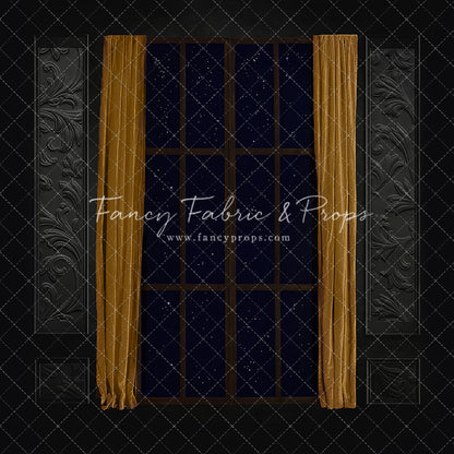 Elegant Moody Window