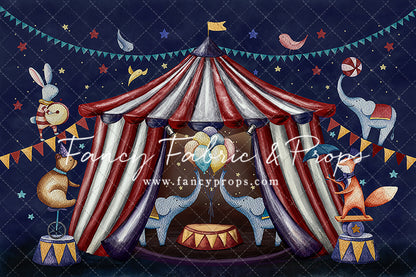 Enchanting Circus