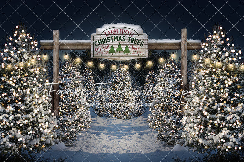 Evening Snowy Tree Farm Entrance