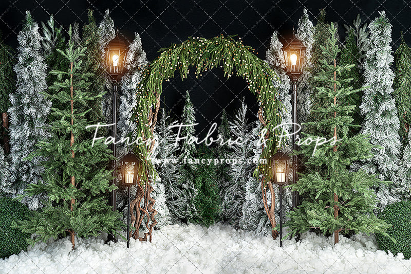 Evening Tree Farm Stroll