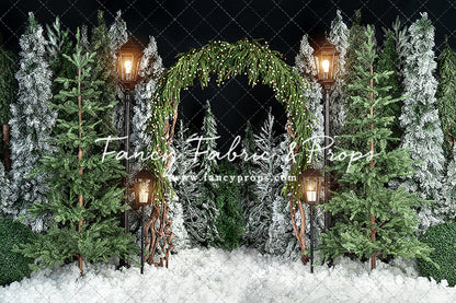 Evening Tree Farm Stroll