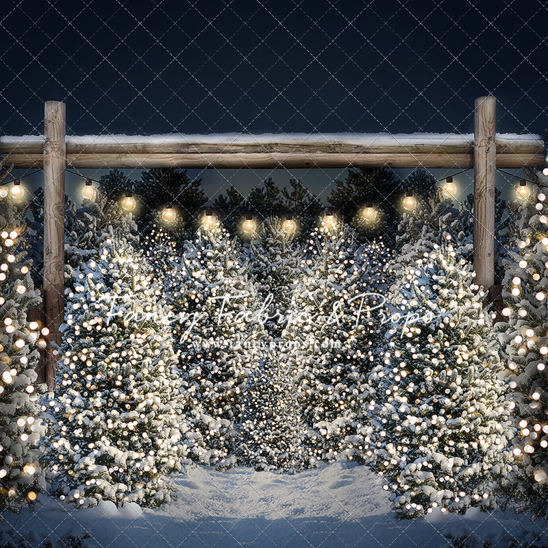 Evening Winter Tree Farm