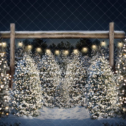 Evening Winter Tree Farm