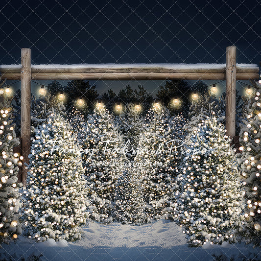 Evening Winter Tree Farm