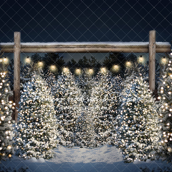 Evening Winter Tree Farm