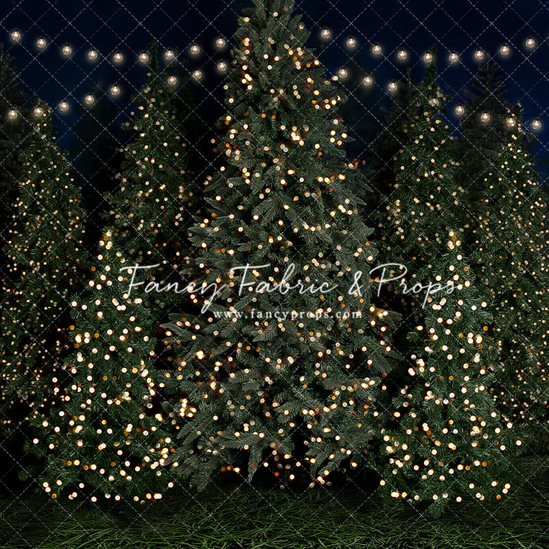 Evening At The Tree Farm