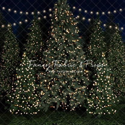 Evening At The Tree Farm