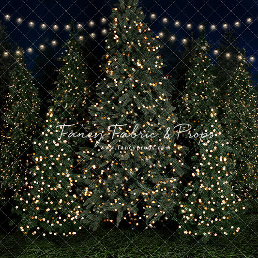 Evening At The Tree Farm