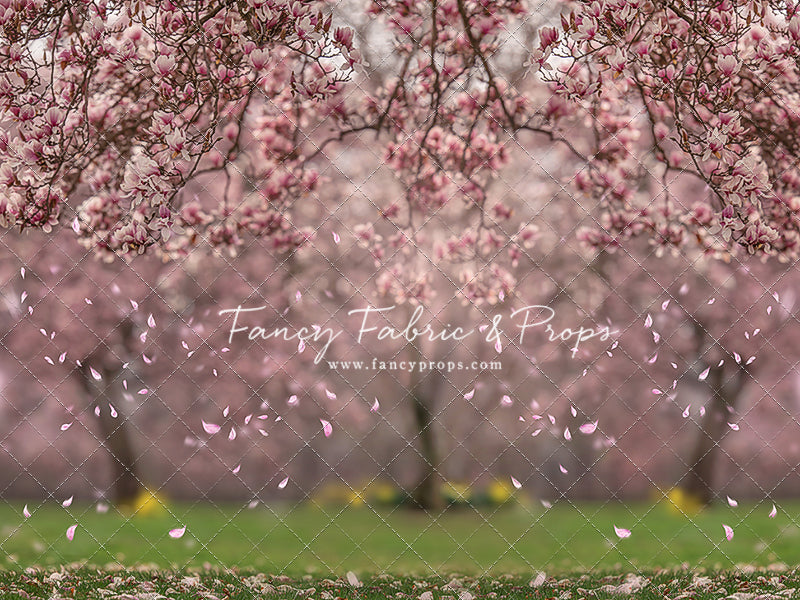 Falling Magnolias