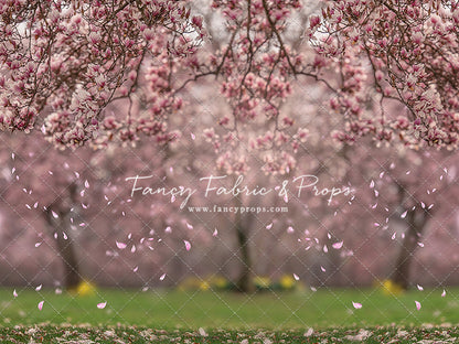 Falling Magnolias