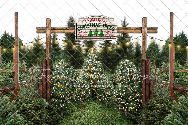 Farm Fresh Christmas Trees