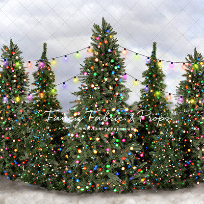 Festive Tree Farm
